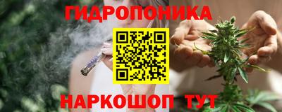 шишки Ливны