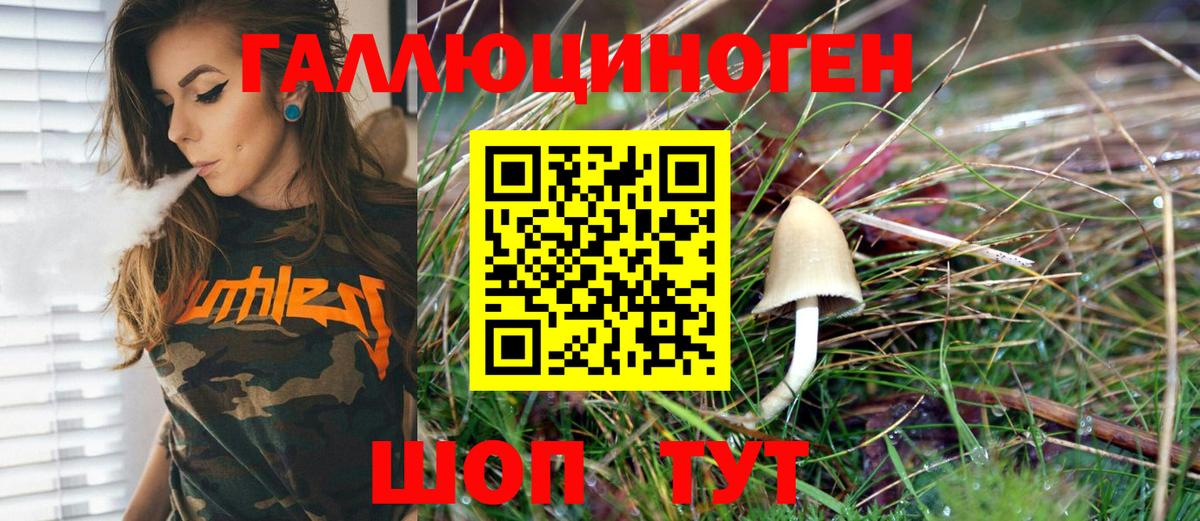 Псилоцибиновые грибы мицелий  Галлюциногенные грибы Psilocybe  Вход с VPN  Ишим 